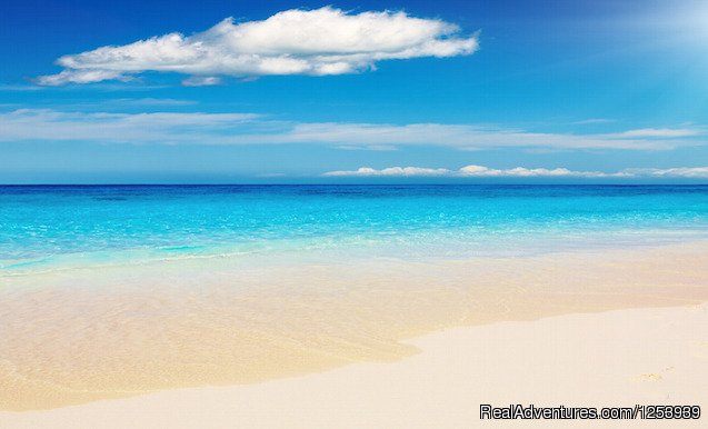 Amazing Barbados Vacation Rentals | Image #19/26 | 