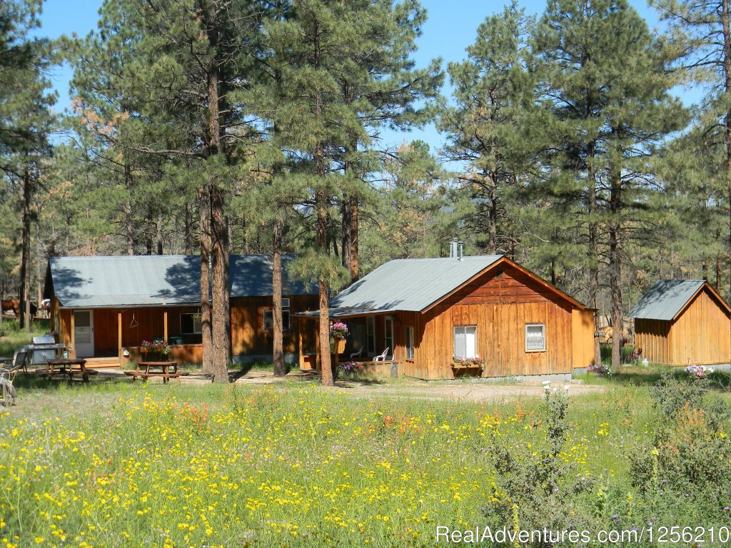 Geronimo Trail Guest Ranch | Image #7/9 | 