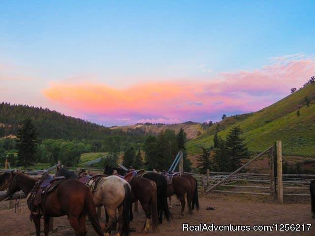 Horses Watch the Sunrise | Gros Ventre River Ranch | Image #3/5 | 