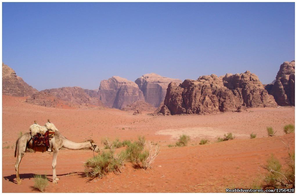 Wadi Rum | Jordan Memory Tours | Image #20/25 | 