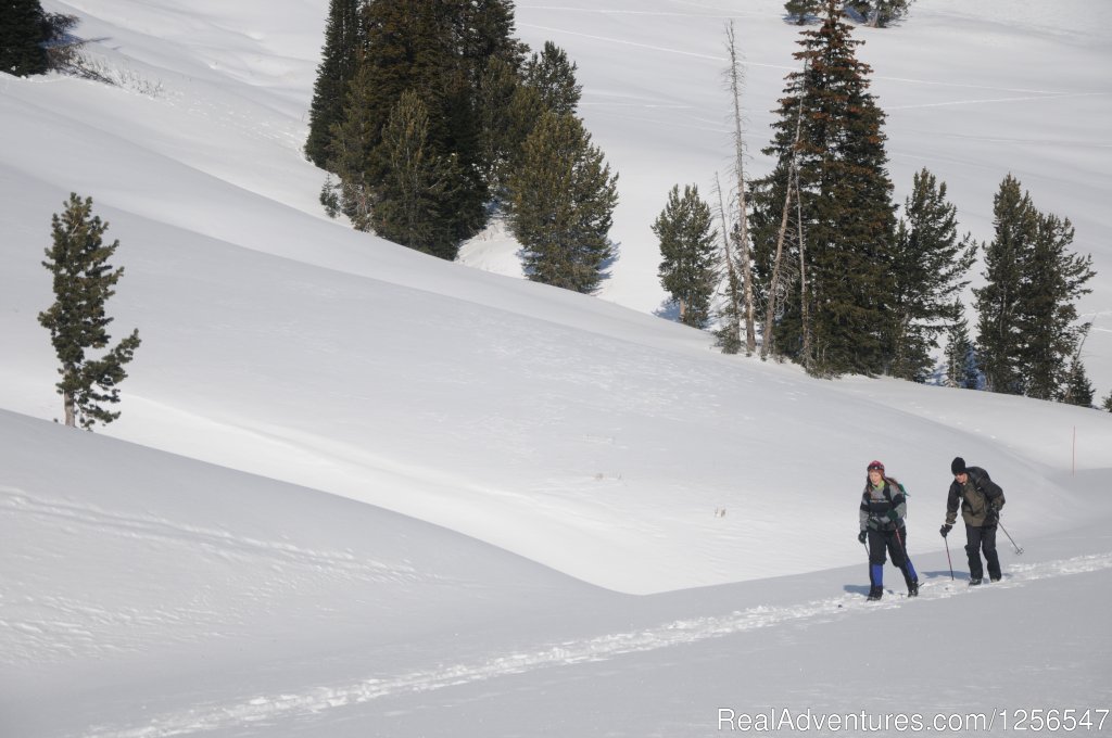 Yellowstone Expeditions Snowshoe Tours | West Yellowstone, Montana  | Snowshoeing | Image #1/9 | 
