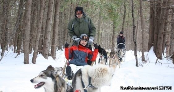Dogsledding | Ride a dogsled through a forest white with snow | Image #2/4 | 