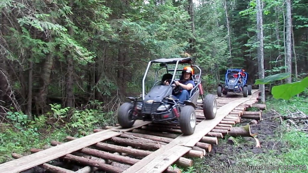 Off Road Dune Buggy tours | Ride a dogsled through a forest white with snow | Image #3/4 | 