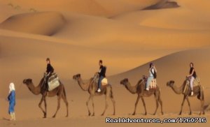 Merzouga Journeys: Morocco Desert Tours | Marakech, Morocco | Sight-Seeing Tours