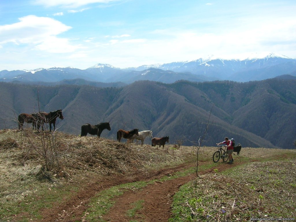 Mountain Bike Holidays in Bulgaria | Image #6/15 | 