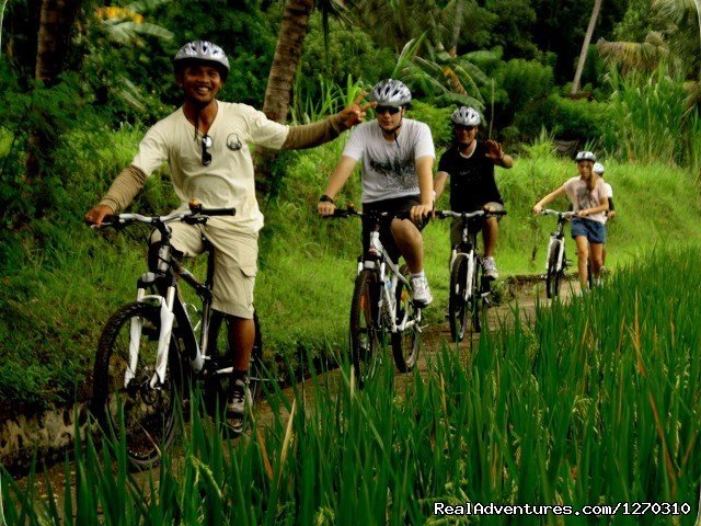 Rices Padies Trek | Bali Countryside Bike Tour | Image #2/4 | 