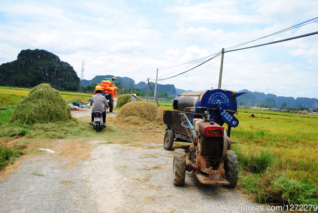 Hoa Lu- Tam Coc of Ninh Binh Vietnam | Vietnam Timeless Charm 10 days | Image #14/23 | 