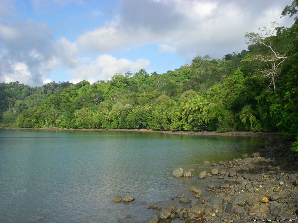 Private Tropical Fjord Beach Primary Rainforest | Image #4/8 | 
