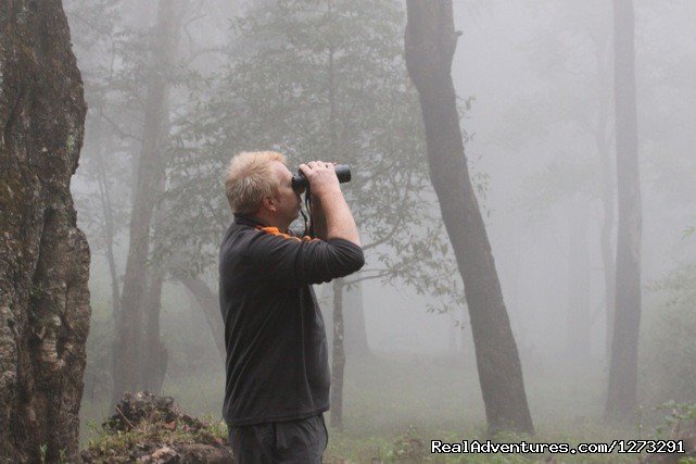 Birding in the mist | Wildlife & Birding Adventures | Image #3/12 | 