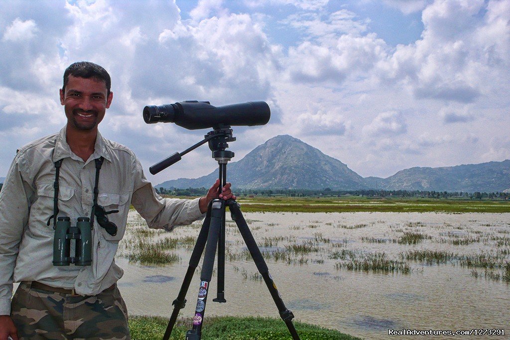 Looking for waders | Wildlife & Birding Adventures | Image #4/12 | 
