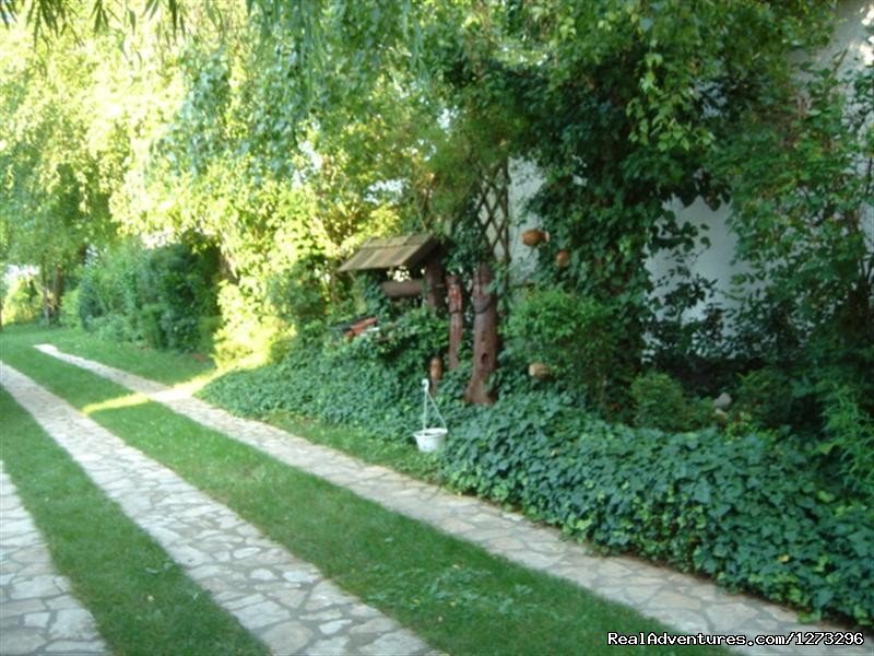 Garden | Nice atmosphere, unique opportunity at Balaton | Image #13/25 | 