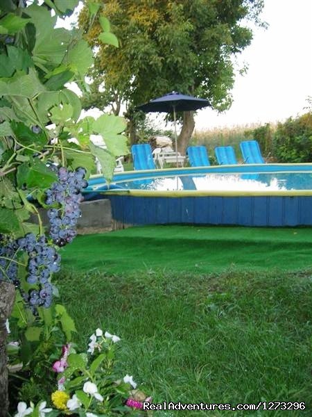 Pool | Nice atmosphere, unique opportunity at Balaton | Ordacsehi, Hungary | Bed & Breakfasts | Image #1/25 | 