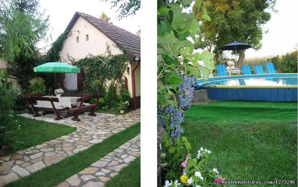 Garden | Nice atmosphere, unique opportunity at Balaton | Image #4/25 | 