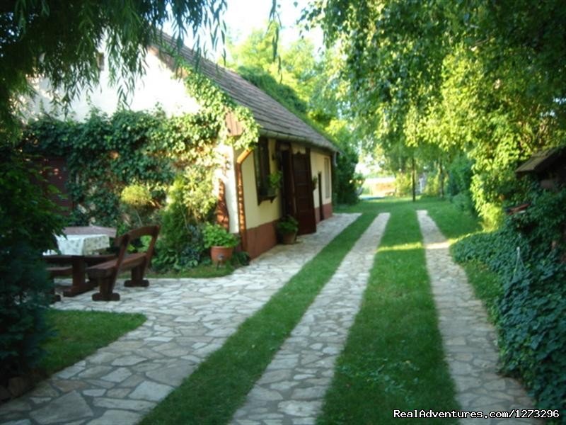 House | Nice atmosphere, unique opportunity at Balaton | Image #2/25 | 