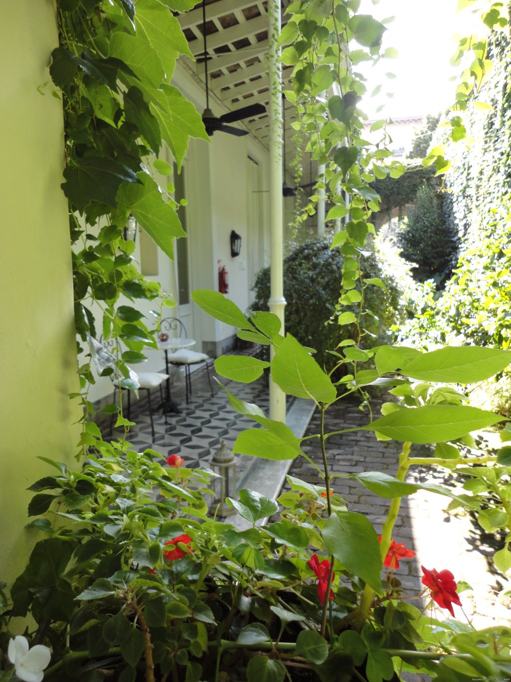 Lovely Garden | Charming Home Buenos Aires | Image #23/26 | 