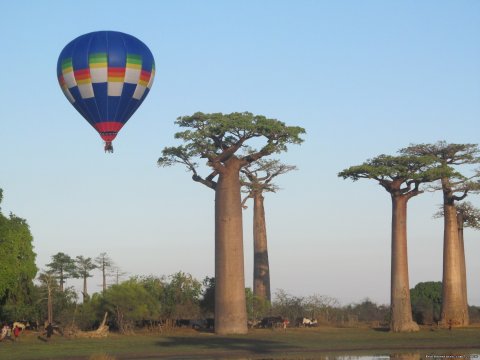 Imax filming at the Avenue of the Baobabs