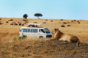 Inspiring your spirit of adventure | Nairobi, Kenya | Wildlife & Safari Tours