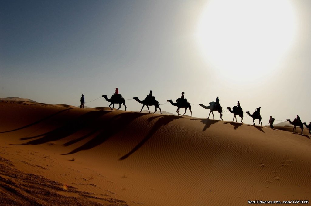 Camels Ride in desert Sahara | Morocco Dunes Tours | Image #3/7 | 