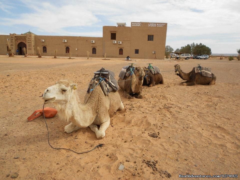 Morocco Dunes Tours | Image #7/7 | 