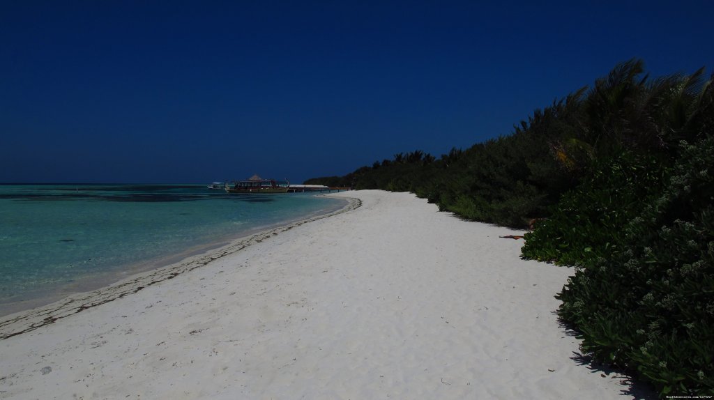 Island | Explore the Maldives on MV Yasawa Princess | Image #12/14 | 