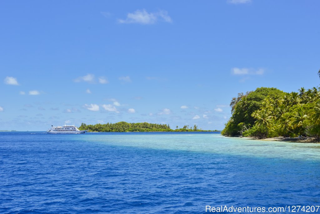 Explore the Maldives on MV Yasawa Princess | Image #4/14 | 