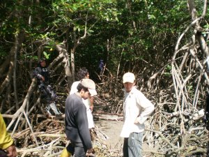 Mangrove Conservation Volunteer Work | Guayaquil, Ecuador | Volunteer Vacations