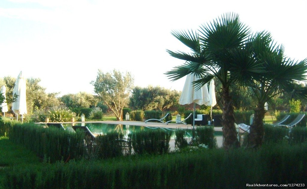 Exterior | 'marrakech African Queen' Exclusive Villa | Image #2/26 | 