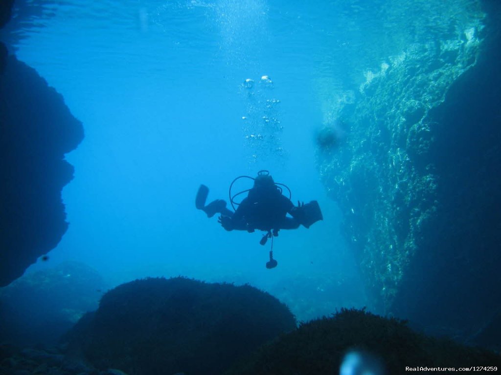 Mykonos Diving by GoDive Mykonos | Scuba Diving Mykonos | Mykonos, Greece | Scuba Diving & Snorkeling | Image #1/16 | 