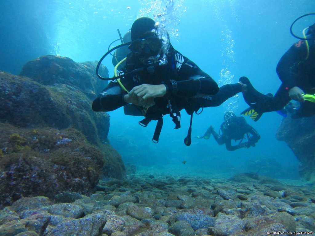 Mykonos Diving by GoDive Mykonos | Scuba Diving Mykonos | Image #2/16 | 