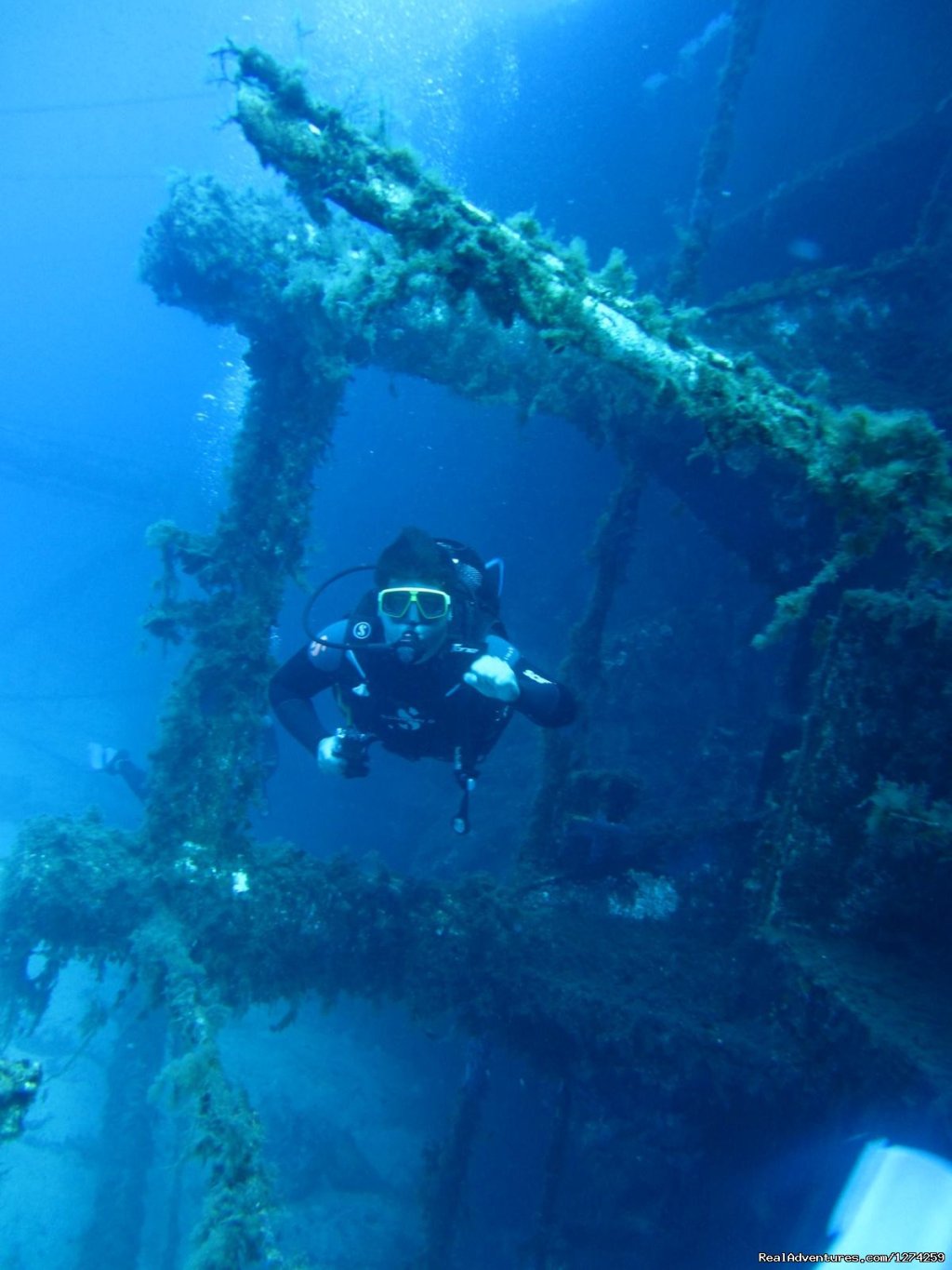 Mykonos Diving by GoDive Mykonos | Scuba Diving Mykonos | Image #5/16 | 