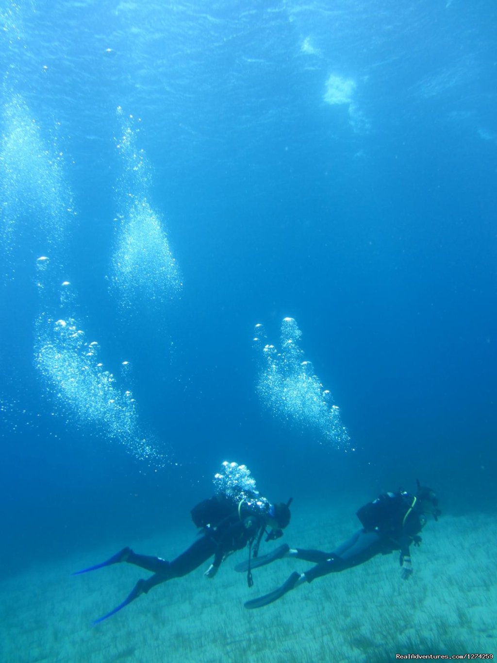 Mykonos Diving by GoDive Mykonos | Scuba Diving Mykonos | Image #7/16 | 