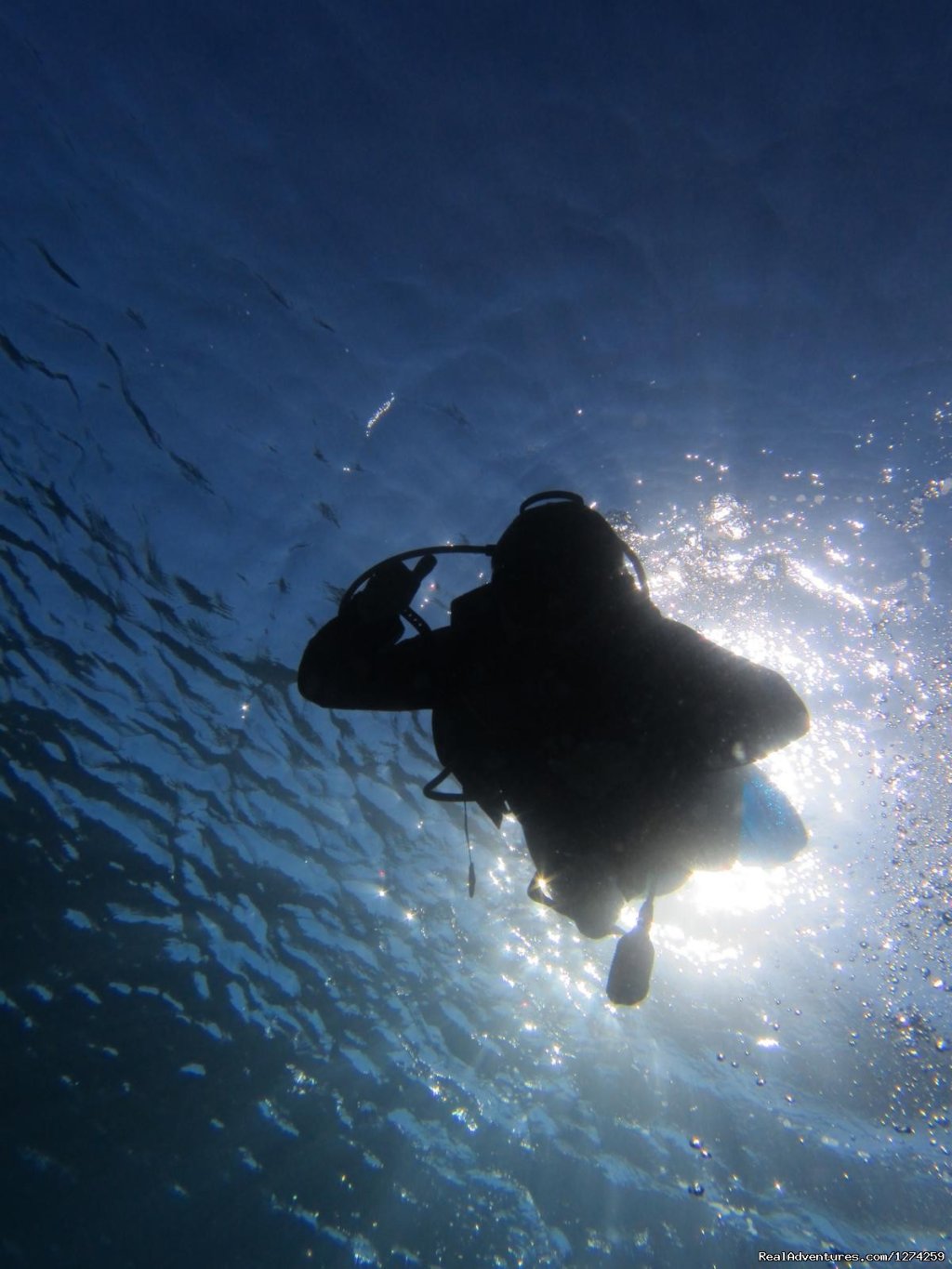 Mykonos Diving by GoDive Mykonos | Scuba Diving Mykonos | Image #10/16 | 
