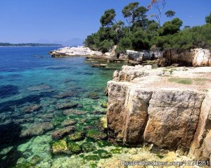 Yoga and Detox Bliss by the sea, Cap d'Antibes | Antibes, France | Yoga