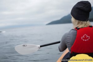 Wildcoast Adventures - kayak vacations & adventure