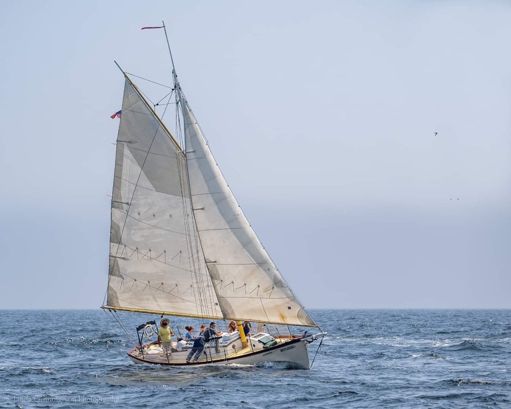 Bufflehead Sailing | Custom Sailing Charters from Rockland, Maine | Image #3/3 | 