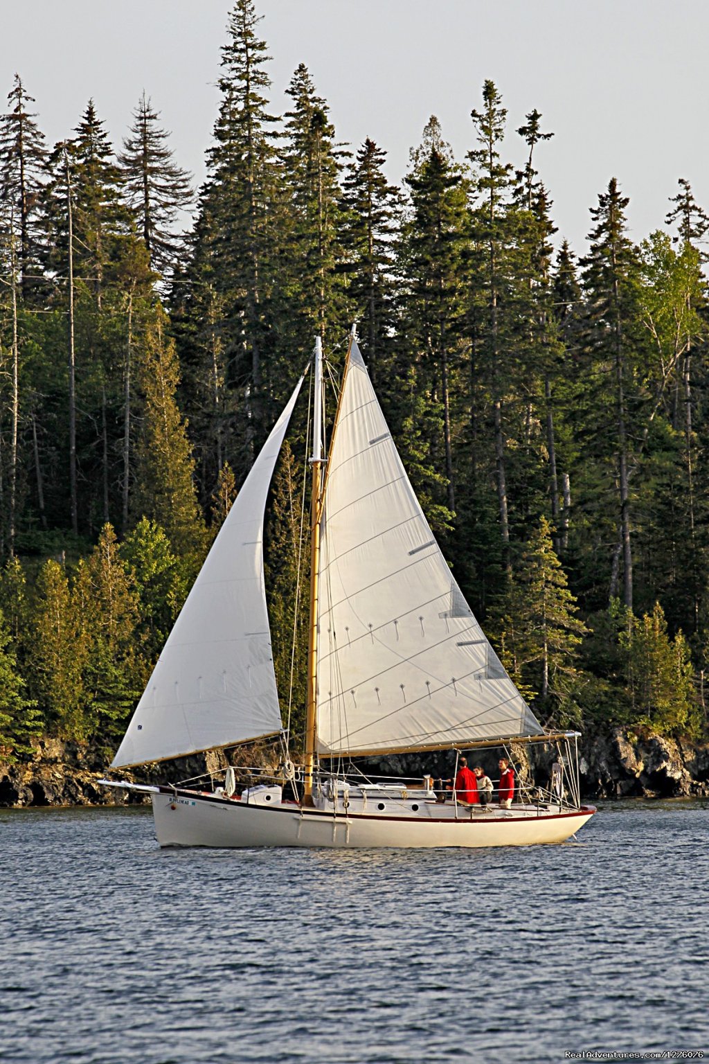 Bufflehead Sailing Through Fox Island Throughfare | Custom Sailing Charters from Rockland, Maine | Rockland, Maine  | Sailing | Image #1/3 | 