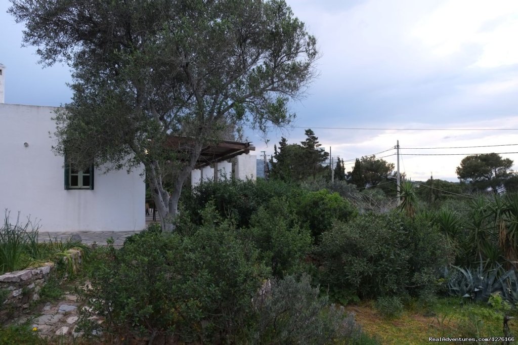 Cottage by the Sea, Side View | Cottage by the Sea, Near the Center of Athens | Image #5/11 | 