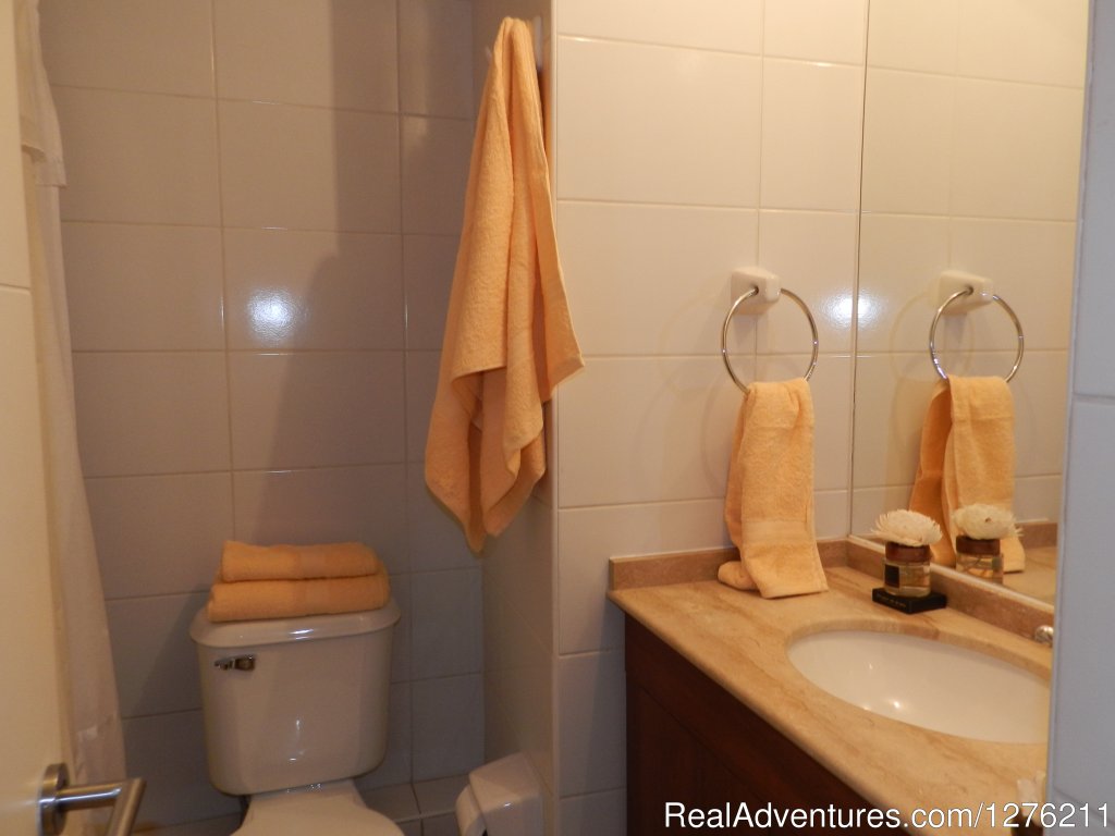 Bathroom | Best Location furnished Apart Santiago Downtown | Image #13/14 | 