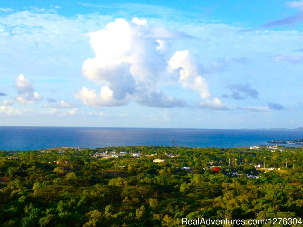 Views | Vieques-villa Top of the Heap | Image #5/25 | 