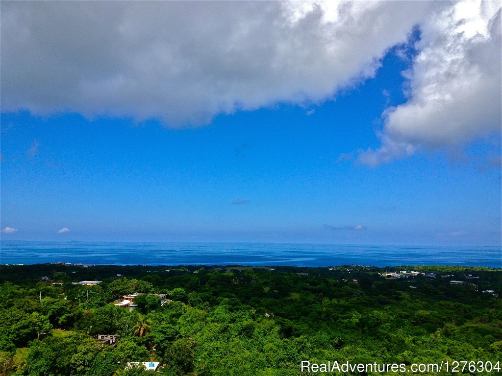 Views | Vieques-villa Top of the Heap | Image #7/25 | 
