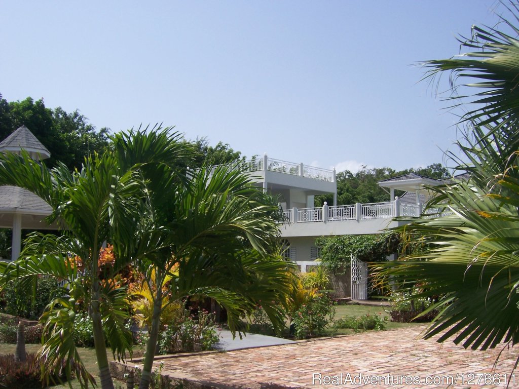 YOUR garden grounds | Mais Oui Tennis and Spa Villa - Experience Jamaica | Image #6/6 | 