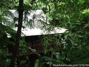 Cocoa Cottage | Trafalgar, Dominica | Hotels & Resorts