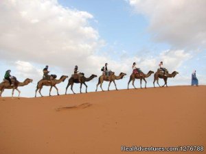 Morocco Desert Tours | Marakech, Morocco | Camel Riding