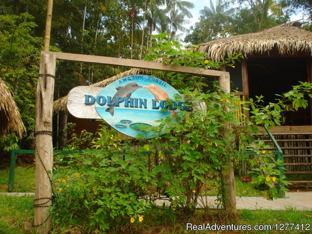 Dolphin Lodge 4 | Dolphin Lodge - Amazon | Image #6/17 | 