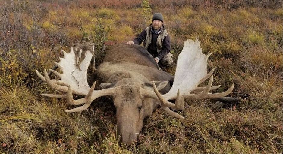 Castle Rock Outfitters | Healy, Alaska  | Hunting Trips | Image #1/5 | 