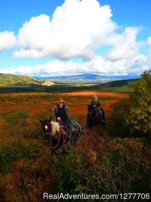 Denali Horseback Tours | Healy, Alaska Horseback Riding & Dude Ranches | Great Vacations & Exciting Destinations