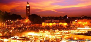 Visitas Guiadas de Marrakech | Marrakech, Morocco | Wildlife & Safari Tours