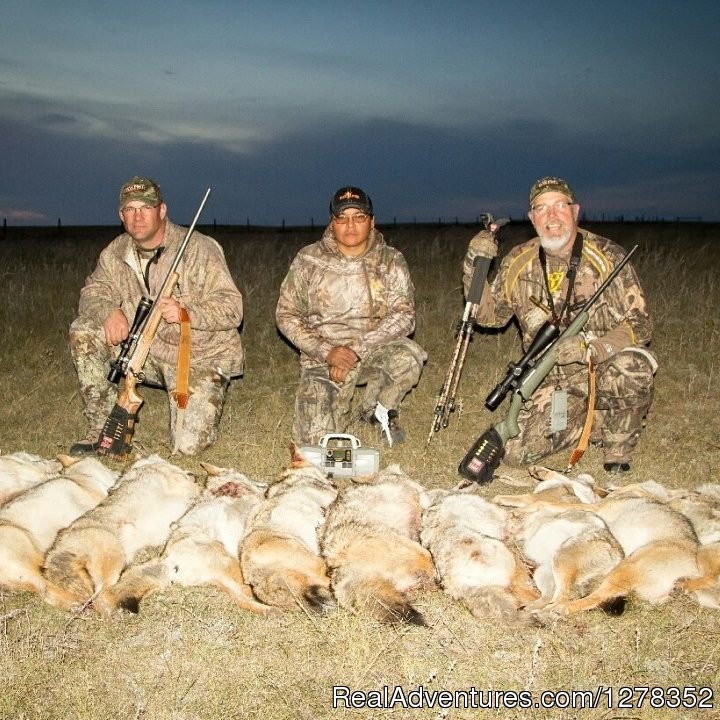 Coyote Hunts | Alberta Big Game Outfitters | Image #5/7 | 