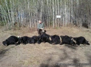Excellent Alberta Black Bear Hunting | Yellowhead County, Alberta | Hunting Trips