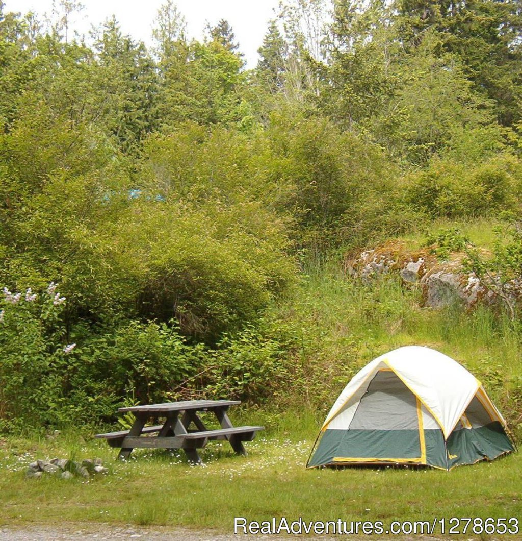 Tent sites | SunLund By-The-Sea RV Campground & Cabins | Image #4/8 | 